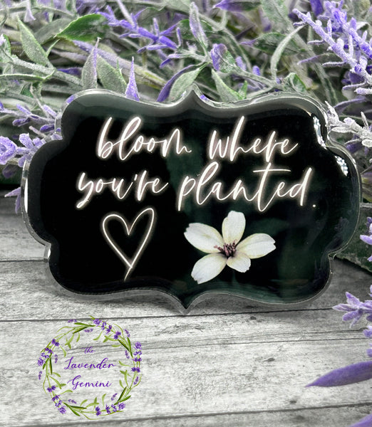 3 inch Bloom where you are planted  Quote Magnet